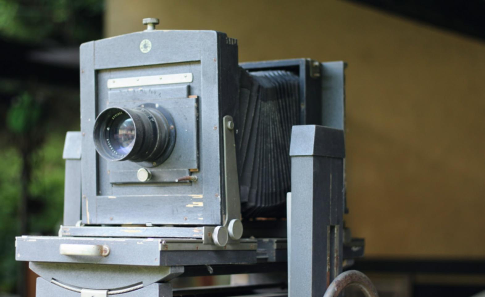 Kontakt mit Bravonisteralia Lernplattform aufnehmen